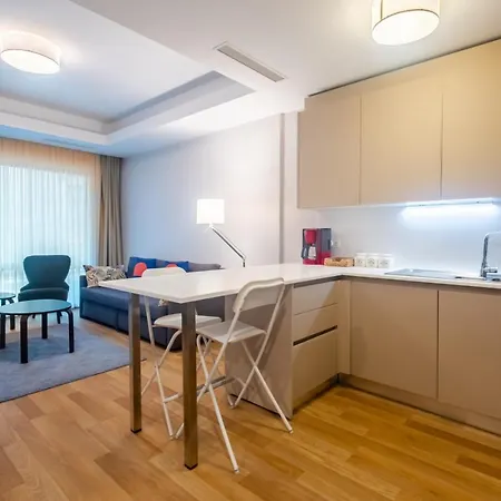 Luxurious Flat With City View In Maslak